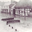 Studies of the River Meon