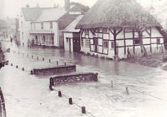 Studies of the River Meon