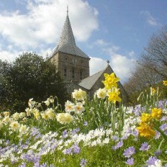 All_Saints_with_Daffodils Spring view of All Saints, photographed by Richard Gaisford | Richard Gaisford