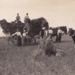 Farming images
