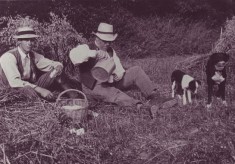 Agriculture