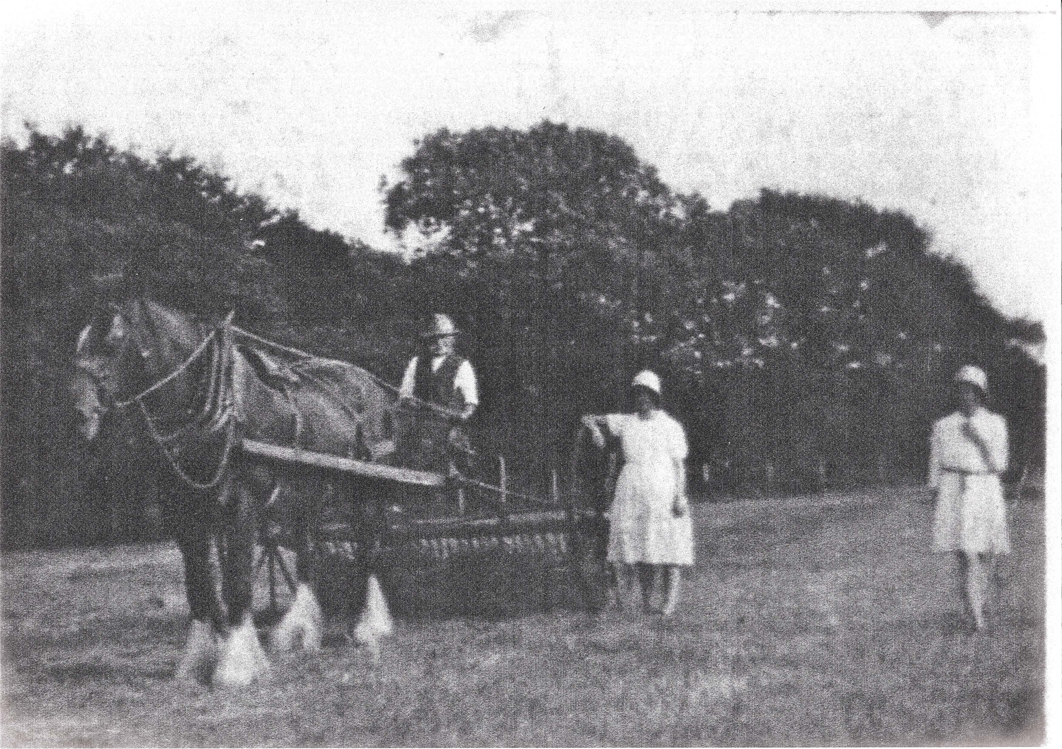 Horse and cart with man and two women