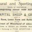 East Meon estates