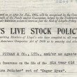 Lloyds Livestock Policy