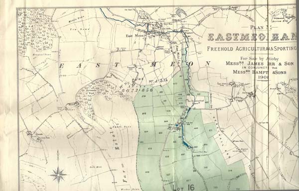 Auctioneer's map of Ramsdean and East Meon, 1908