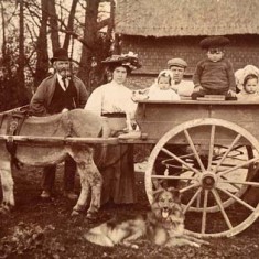 Family with donkey cart