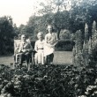 Woodfield photographs
