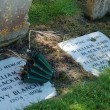 Registers of Baptisms, Marriages and Deaths