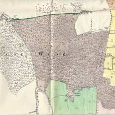  Hyden Wood