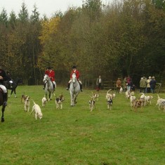 Meet Bereleigh Nov 2004 Foxhunt at Bereleigh, November 2004