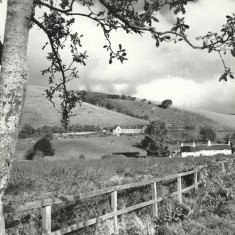 Old School and field, Frogmore cottages on right