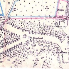 Map of Leydene Estate, pre-war. Work started on the Main House, designed by Mr Jupp FRIBA of London, in the Spring of 1914 and an area north of Leydene Bottom was levelled for the foundations.  The stone came from Belgium, shipped across the channel, then by rail to Havant and finally by lorry to the site.  The bricks were specially made by Rowland’s Brick Works. The Peel’s moved into the farm house at Coombe Cross to keep an eye on construction.  They stayed at the farm house for ten years.  However, the First World War brought a halt to construction, as the labourers, who were all local, were needed for war work and to expand the armed forces. 