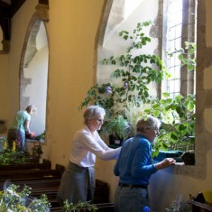Flower Festival window arrangements