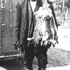 Shep Whitear This is my Great-great-grandad, Walter. He was born in Kilmeston in 1865. I don’t know where he went to school. He later lived at Bordean Cross and Coombe Bottom, working as a shepherd. You can see he quite liked catching rabbits as well!
