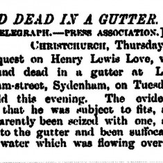 Lewis death notice 12 Oct 1888 Notice of death of Henry Lewis Love, 1888, New Zealand Herald Volume XXV Issue 9183, 12 October 1888 page 2