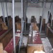 Ceiling collapse 2009