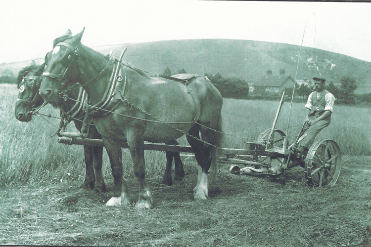 William Hope Lambert, photographed outside Pastures probably in 1914