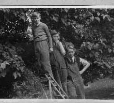 Denys at the top of the ladder with his two elder brothers
