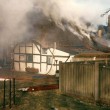 White Cottage fire, 1986