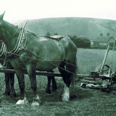 William Hope Lambert at Pastures Farm, 1916
