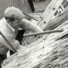 Thatcher on roof 