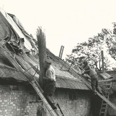 Thatchers on roof 