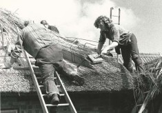 Thatching