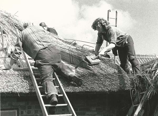 Thatchers on roof