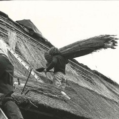 Thatching