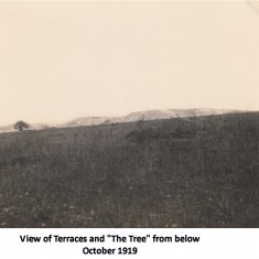 7 Excavation 1919 - 1923