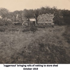 8 Excavation 1919 - 1923