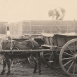 Foundation work, 1921