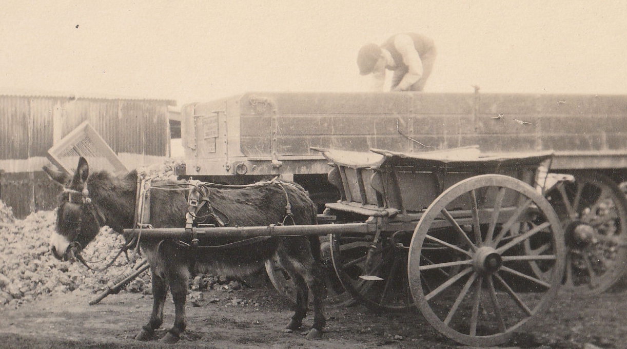 Pat the donkey and cart, July 1921