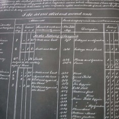 1861 Enclosure Allotment in Langrish I do set out the allotment award unto ... lands in the Tithing of Langrish ... William Albery, Petersfield, George Berry, Henry Holder, Sir William George Hylton Barnard Joliffe, Horsham House, Reigate.
