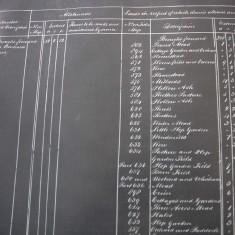 1861 Enclosure Allotment to Bonham Carter Chart of Allotments to Bonham Carter