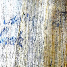 John Cook inscription1 Jim's grandfather John Cook inscribed his name in the shepherd's hut