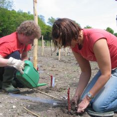 CU_kneeling_planters Planters at work, May 2006