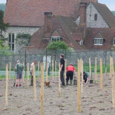 Court_house_and_hen Planting the vines, May 2006
