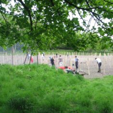 From_under_tree Planting the vines May 2006 | Michael Blakstad