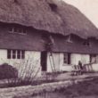 Thatching