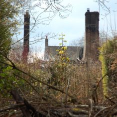 Woodstack and chimneys The remains of the second thatch fire at Hockley & Brook Cottages, March 2013. | Michael Blakstad