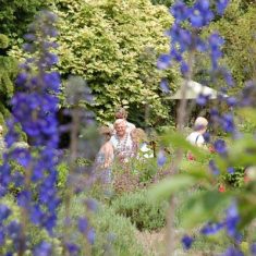 Tudor House Visitors to the Tudor House garden