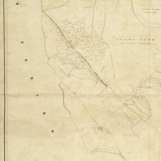 Section of East Meon Tithe Apportionment map 1852 Hen Wood and Court Farm West of EM