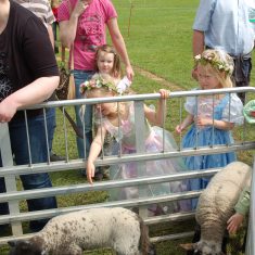 Fairies and lambs Fairies and lambs