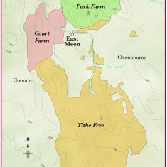 Lands farmed in demesne by the Diocese
