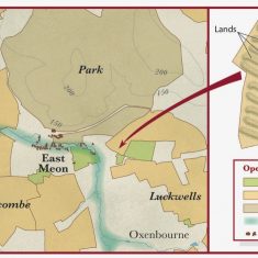 Layout of open fields 