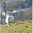 Meon Matters Archive